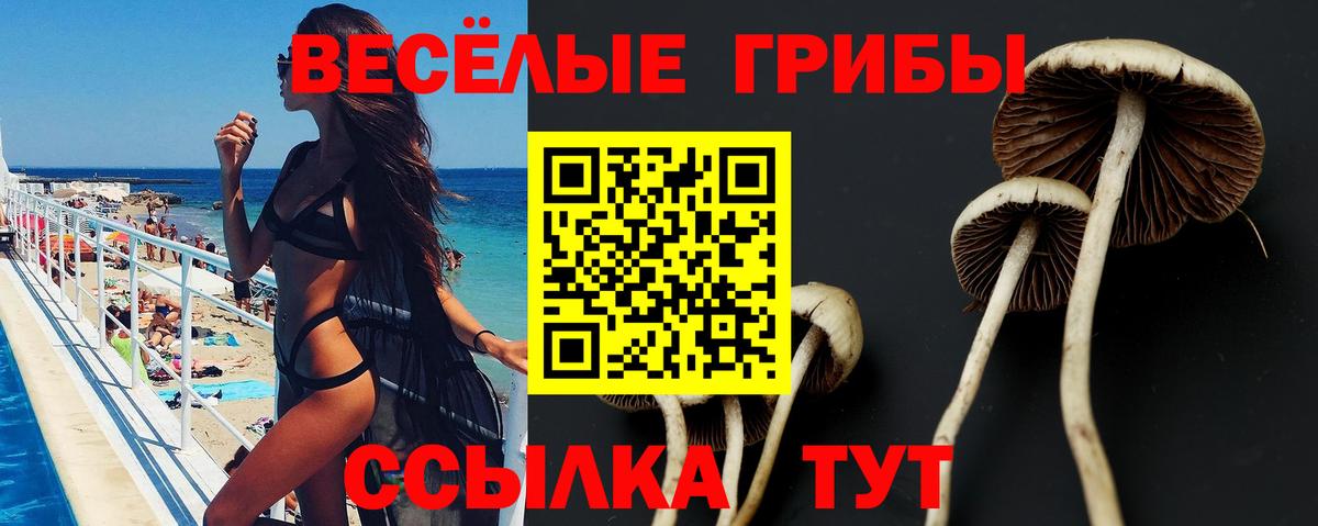 Галлюциногенные грибы прущие грибы  Псилоцибиновые грибы мицелий  Вход с VPN  Губкин 