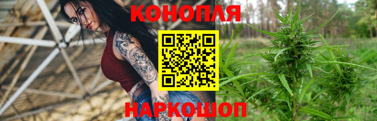 Губкин  Бошки Шишки семена  Вход с VPN  Марихуана конопля 